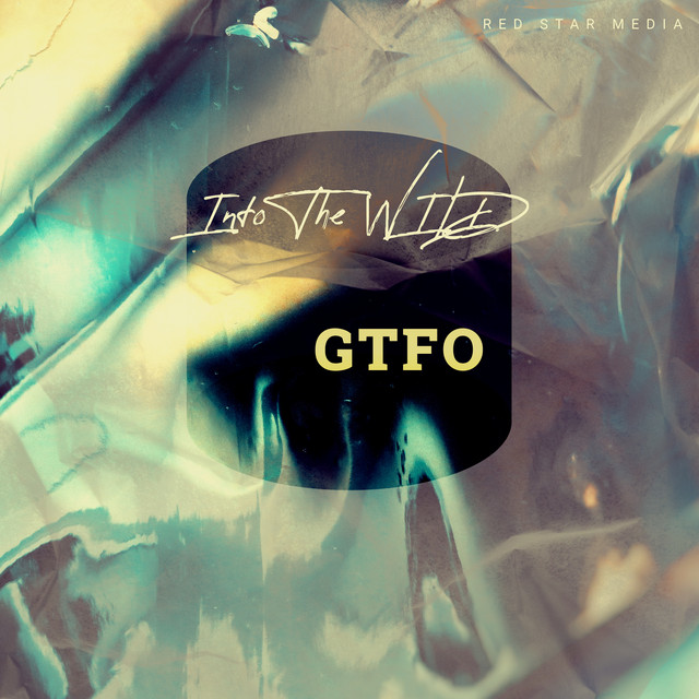 Into The Wild cover art