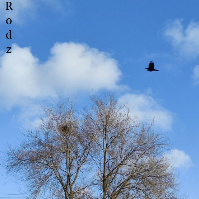 Обкладинка Rodz — Звуки