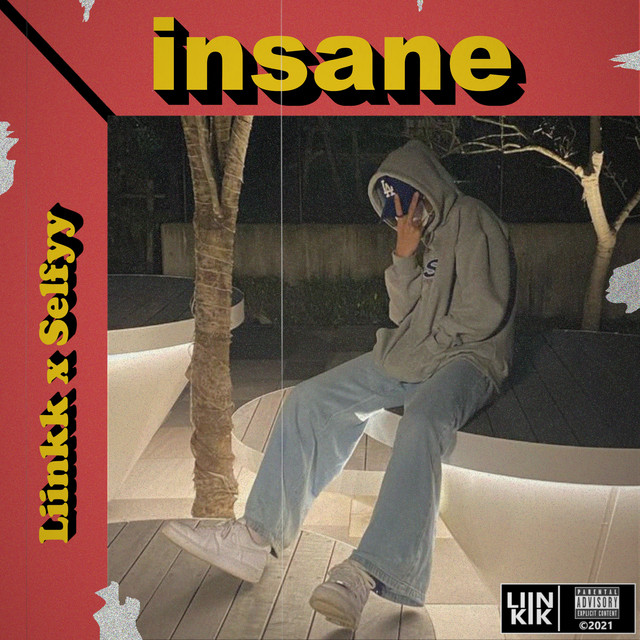 insane cover art