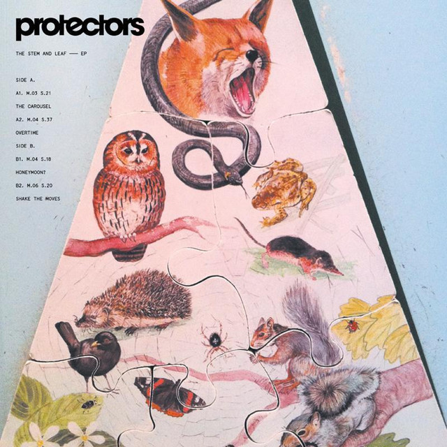 The Stem and Leaf cover
