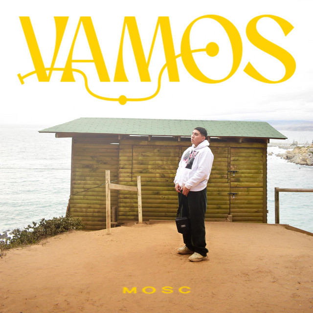 Vamos cover art