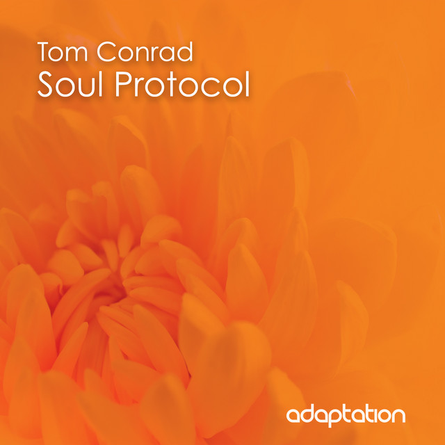 Soul Protocol cover