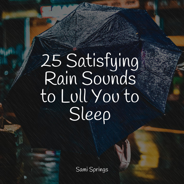 25 Satisfying Rain Sounds to Lull You to Sleep - Album by Sleep Sounds ...