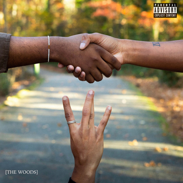 The Woods cover art