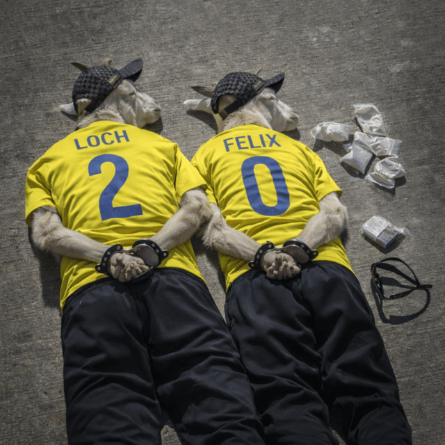 20 cover art