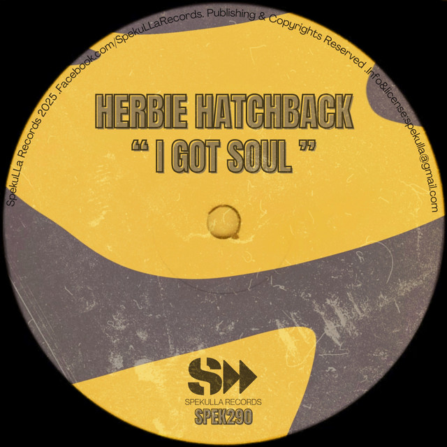 I Got Soul - Radio Mix