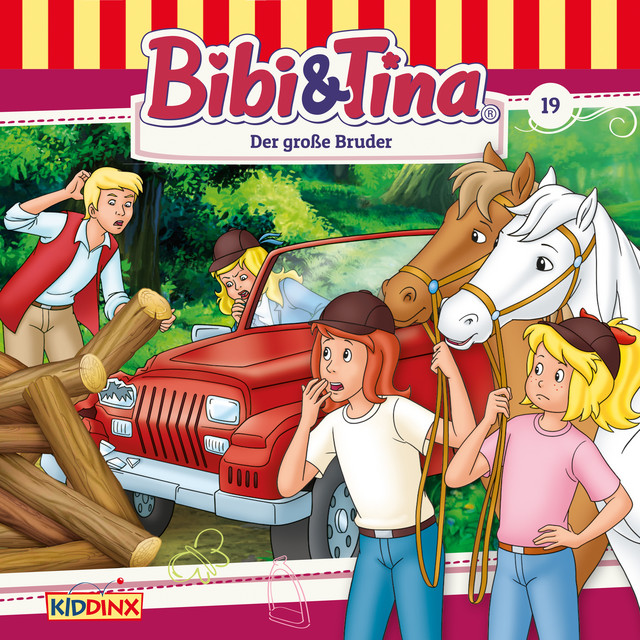 Cover: Der große Bruder