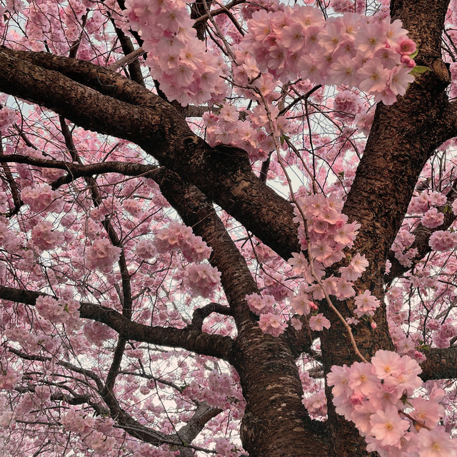 Hello April