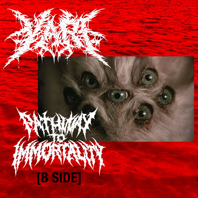 P2i B SiDE cover art