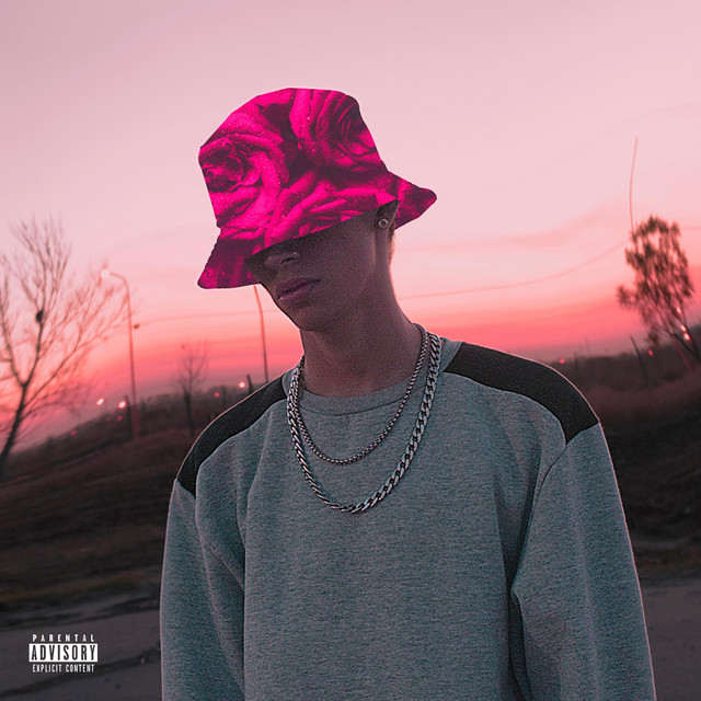 Player cover art