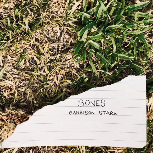 Bones cover art