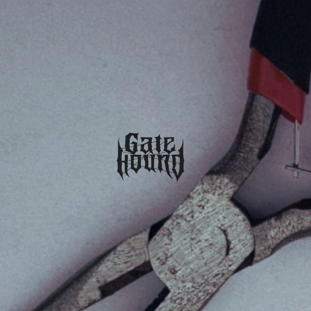 Keeper - song and lyrics by Gate Hound | Spotify