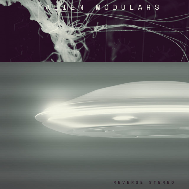 Reverse Stereo – Alien Modulars