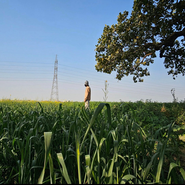 8PM INBHOJPUR/ARA artwork
