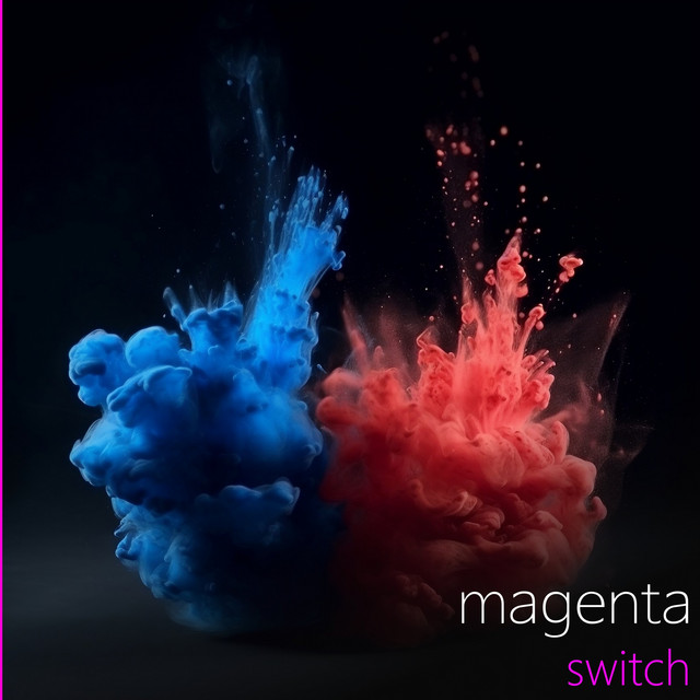 Switch cover art
