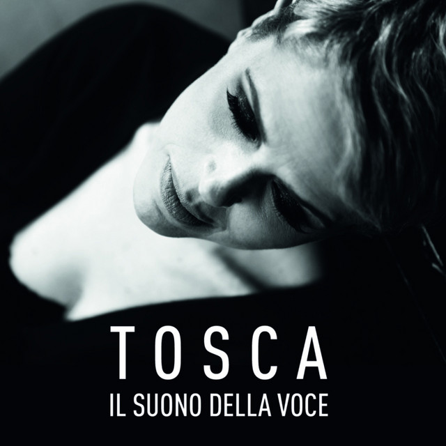 Il Suono Della Voce cover