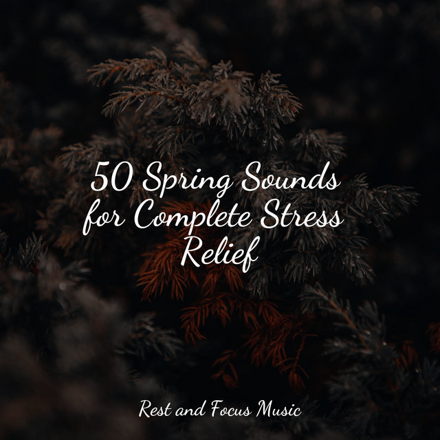 50 Spring Sounds for Complete Stress Relief - Album by Bath Spa ...