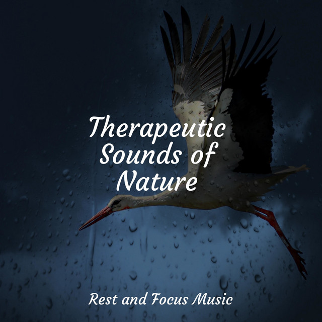 Therapeutic Sounds of Nature - Album by Deep Sleep Music Academy | Spotify