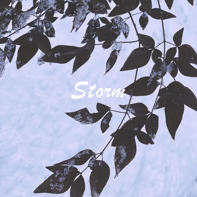 Storm cover art