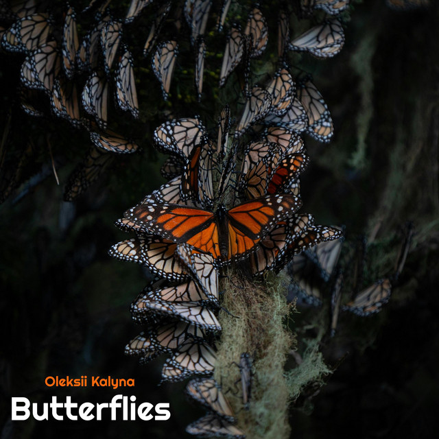 Обкладинка: Butterflies — Oleksii Kalyna