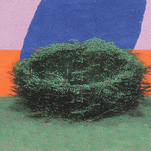 nest