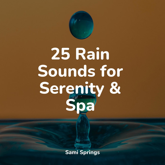 25 Rain Sounds for Serenity & Spa - Album by Sleep Sounds Rain | Spotify