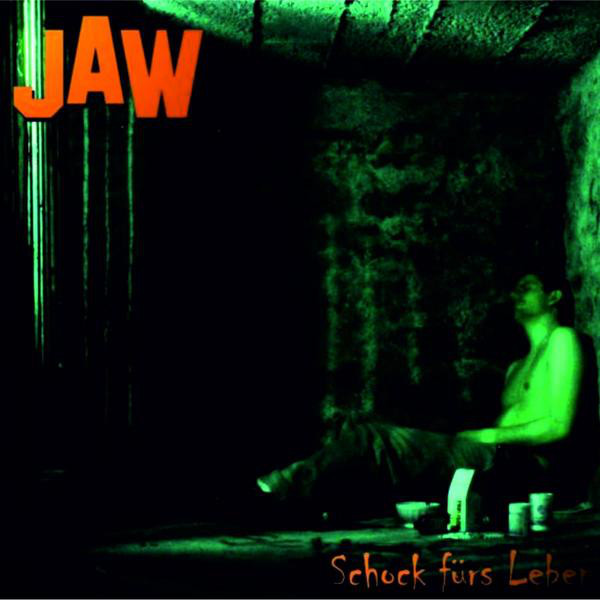 Schock fürs Leben cover art