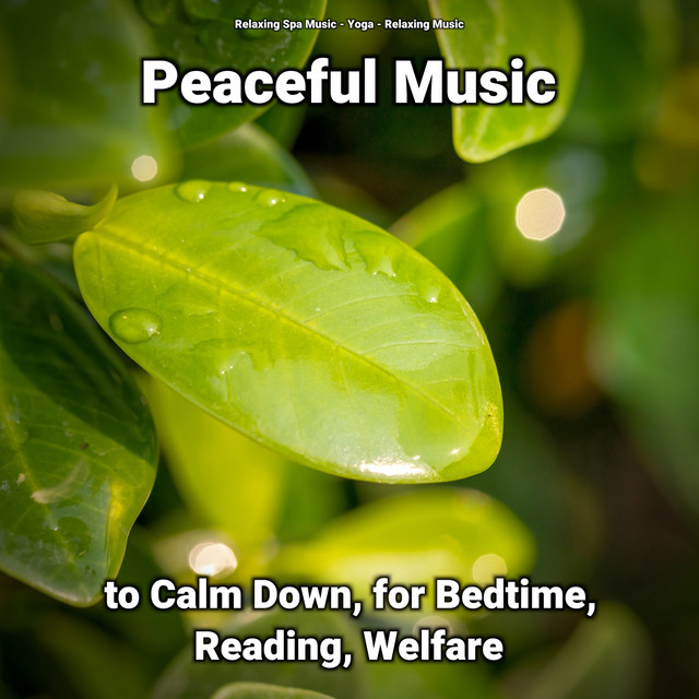 Peaceful Music to Calm Down, for Bedtime, Reading, Welfare cover art