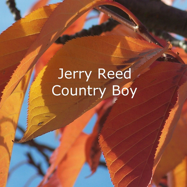 Country Boy – Álbum de Jerry Reed | Spotify