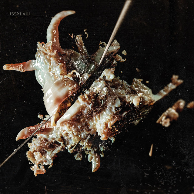 Frammenti album art