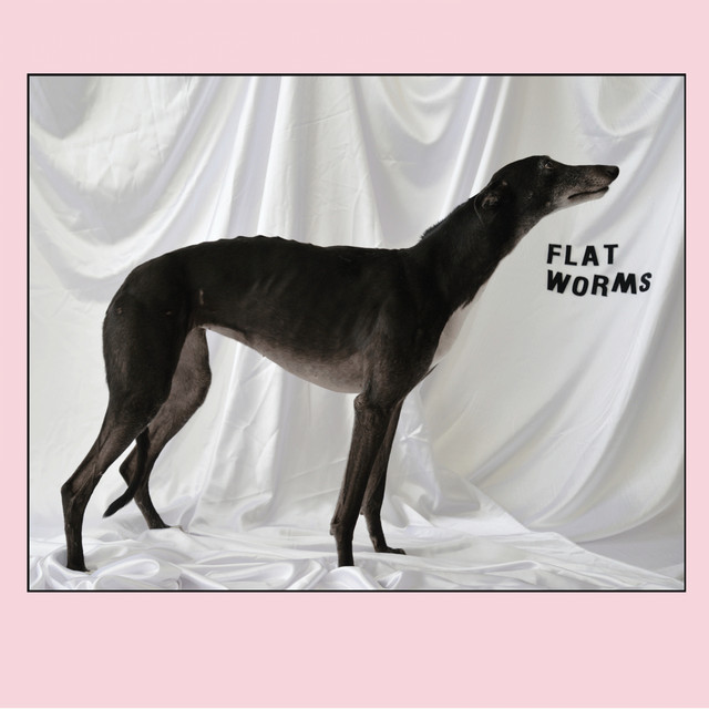 Flat Worms cover art