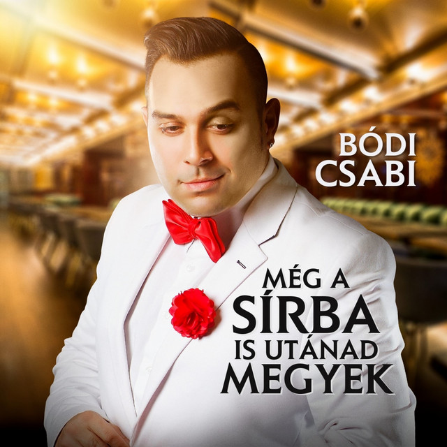 Még a sírba is utánad megyek cover art