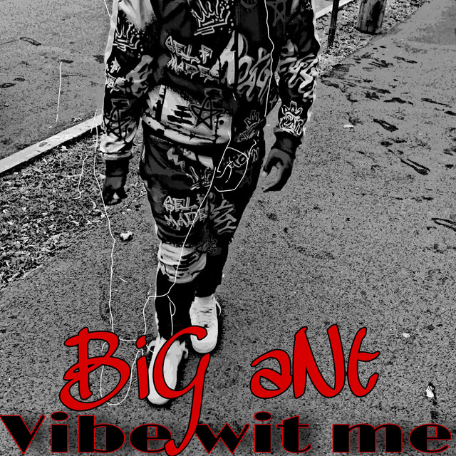 Vibe Wit Me - Album by Big Ant the artist | Spotify
