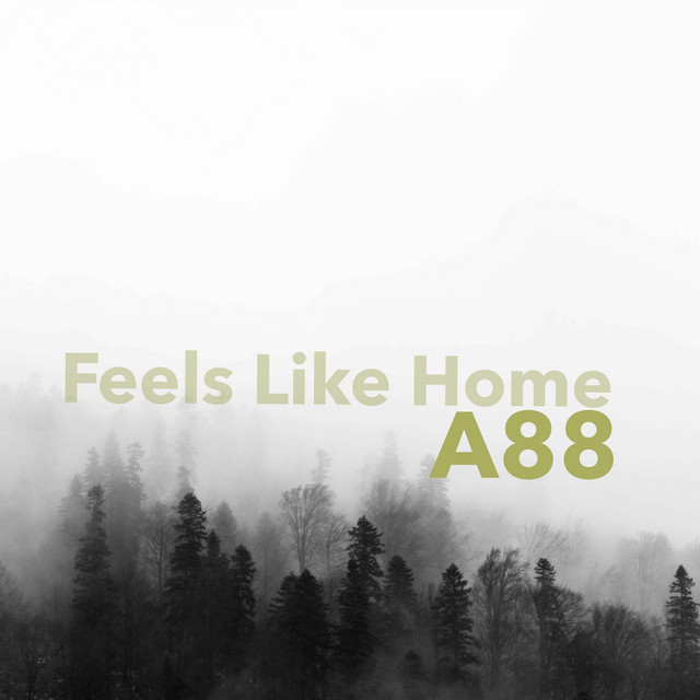 Feels Like Home cover