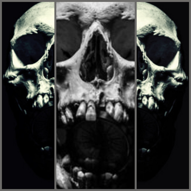 Split cover art