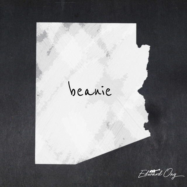 beanie (guitar instrumental) album image