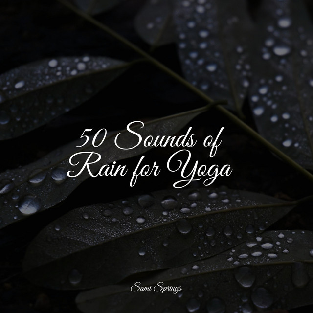 50 Sounds of Rain for Yoga - Album by Oasis of Meditation | Spotify
