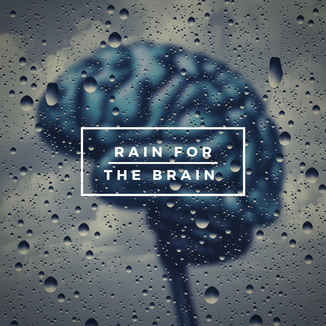 Cover of Rain For The Brain by Brain Timbre