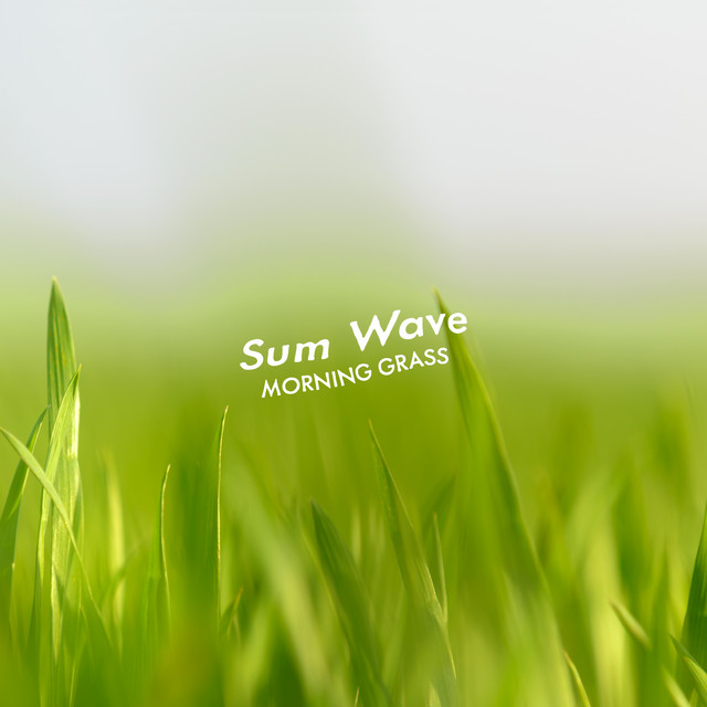 Morning Grass