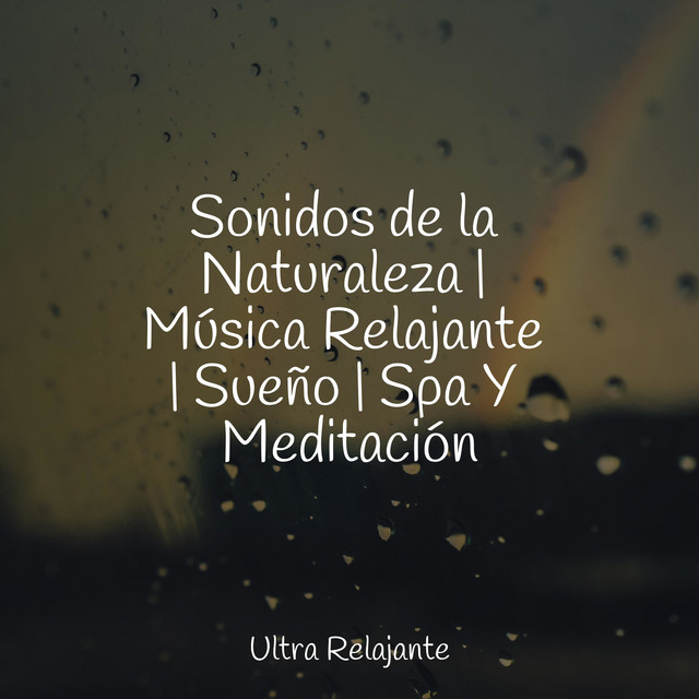 Sonidos de la Naturaleza | Música Relajante | Sueño | Spa Y Meditación ...