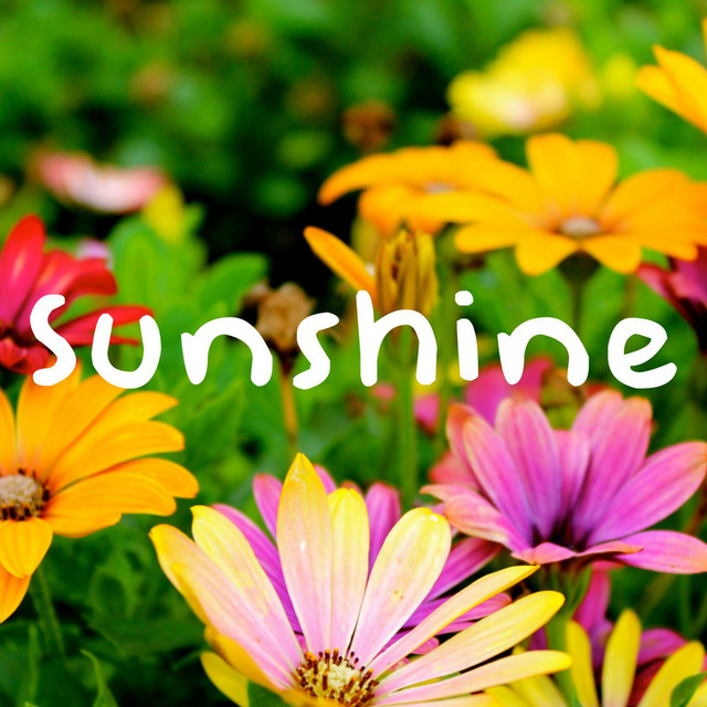Sunshine cover art