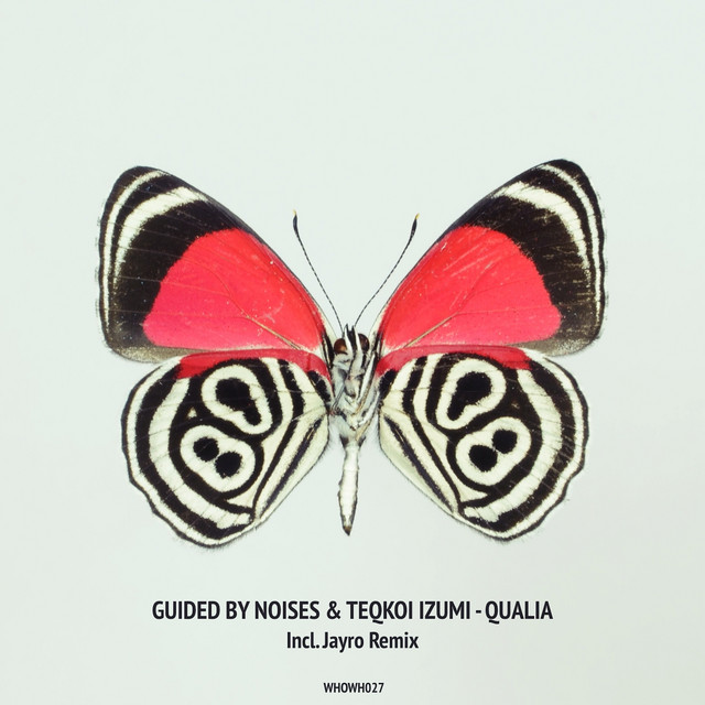 Qualia cover art