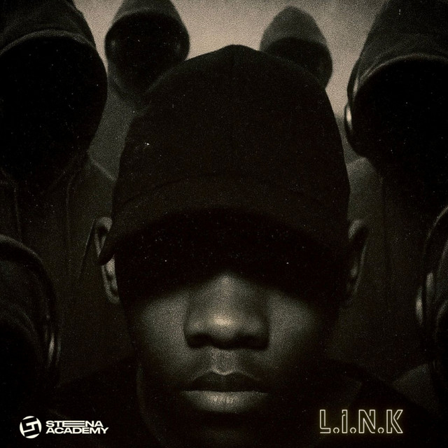 LINK cover art