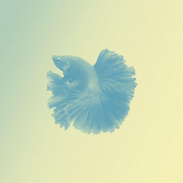 Piscis cover art