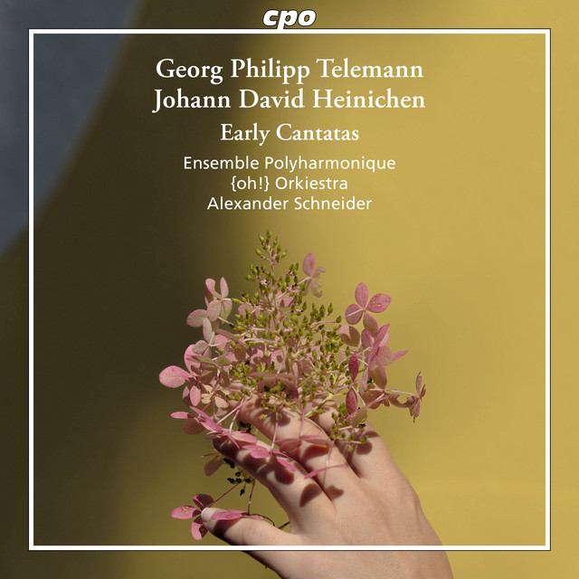 Georg Philipp Telemann: Early Cantatas cover art