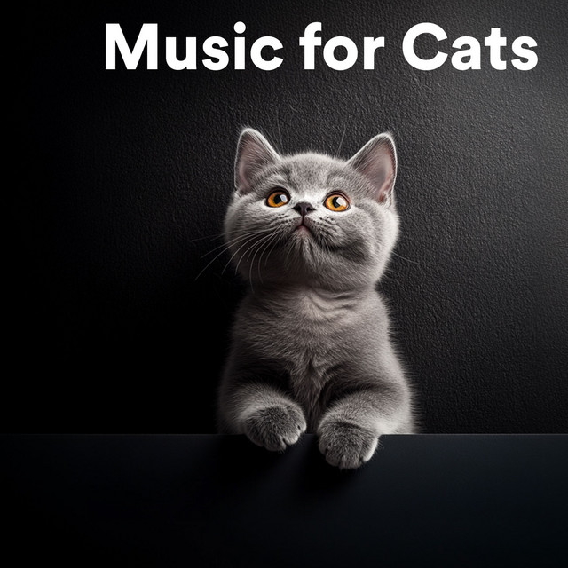 Music for Cats cover art