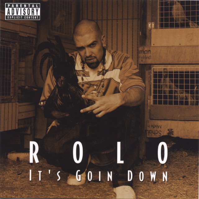 Its Goin Down Feat Lil Jon and the Eastsideboys cover art