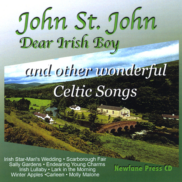Dear Irish Boy cover art