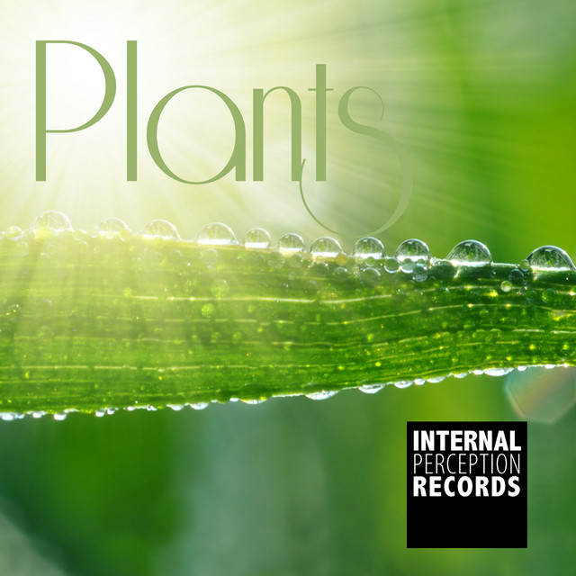 Plants cover