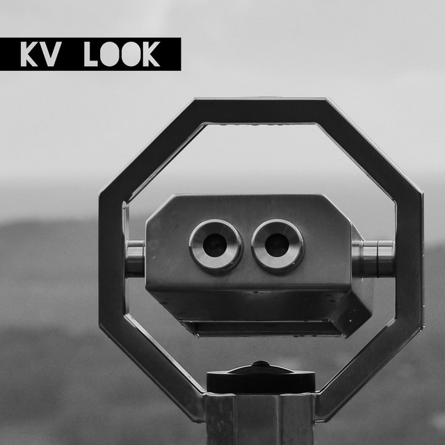 Look cover art